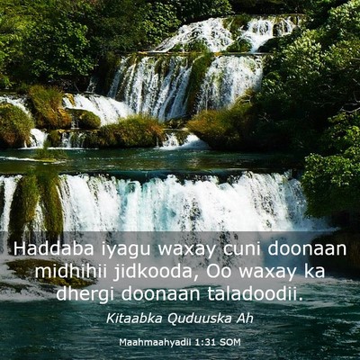 Picture 03 - Maahmaahyadii 1:31 SOM - Haddaba iyagu waxay cuni doonaan midhihii - Bible Verse Picture