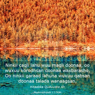 Picture 03 - Maahmaahyadii 1:5 SOM - Ninkii caqli lahu wuu maqli doonaa, oo wuxuu - Bible Verse Picture