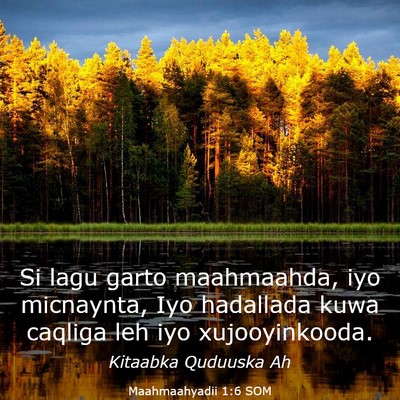 Picture 03 - Maahmaahyadii 1:6 SOM - Si lagu garto maahmaahda, iyo micnaynta, Iyo - Bible Verse Picture