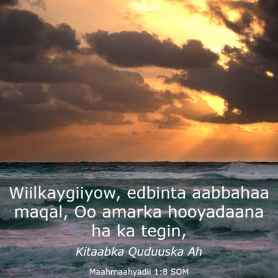 Picture 03 - Maahmaahyadii 1:8 SOM - Wiilkaygiiyow, edbinta aabbahaa maqal, Oo amarka - Bible Verse Picture