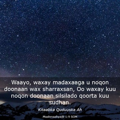 Picture 03 - Maahmaahyadii 1:9 SOM - Waayo, waxay madaxaaga u noqon doonaan wax - Bible Verse Picture