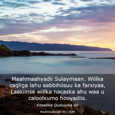 Picture 03 - Maahmaahyadii 10:1 SOM - Maahmaahyadii Sulaymaan. Wiilka caqliga lahu - Bible Verse Picture