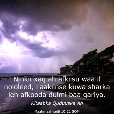 Picture 03 - Maahmaahyadii 10:11 SOM - Ninkii xaq ah afkiisu waa il nololeed, Laakiinse - Bible Verse Picture