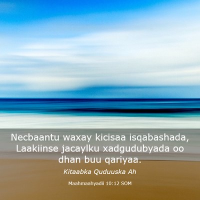 Picture 03 - Maahmaahyadii 10:12 SOM - Necbaantu waxay kicisaa isqabashada, Laakiinse - Bible Verse Picture