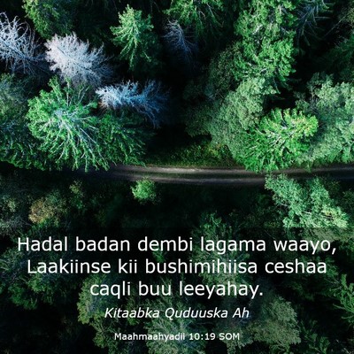 Picture 03 - Maahmaahyadii 10:19 SOM - Hadal badan dembi lagama waayo, Laakiinse kii - Bible Verse Picture