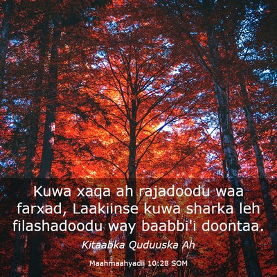 Picture 03 - Maahmaahyadii 10:28 SOM - Kuwa xaqa ah rajadoodu waa farxad, Laakiinse kuwa - Bible Verse Picture