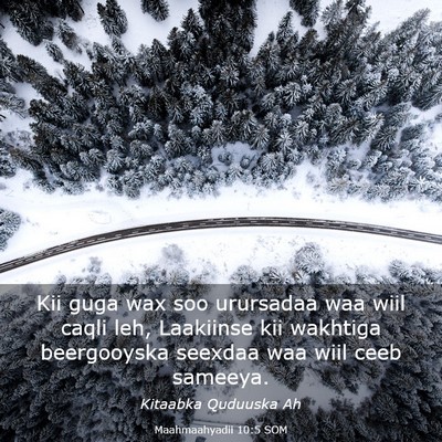 Picture 03 - Maahmaahyadii 10:5 SOM - Kii guga wax soo urursadaa waa wiil caqli leh, - Bible Verse Picture