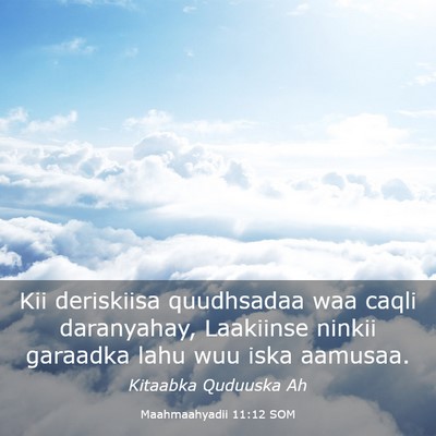 Picture 03 - Maahmaahyadii 11:12 SOM - Kii deriskiisa quudhsadaa waa caqli daranyahay, - Bible Verse Picture