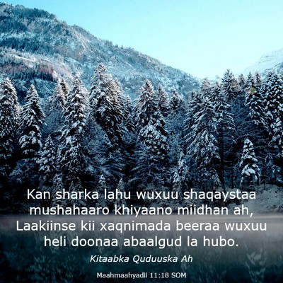 Picture 03 - Maahmaahyadii 11:18 SOM - Kan sharka lahu wuxuu shaqaystaa mushahaaro - Bible Verse Picture
