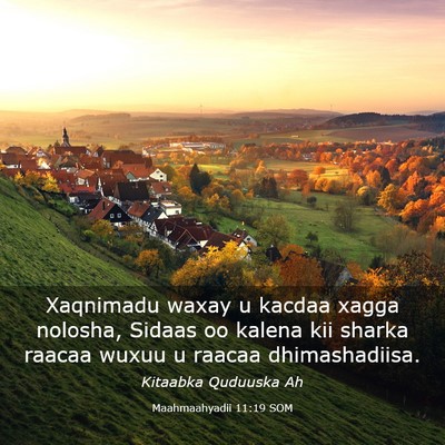 Picture 03 - Maahmaahyadii 11:19 SOM - Xaqnimadu waxay u kacdaa xagga nolosha, Sidaas oo - Bible Verse Picture