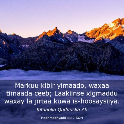 Picture 03 - Maahmaahyadii 11:2 SOM - Markuu kibir yimaado, waxaa timaada ceeb; - Bible Verse Picture