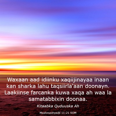 Picture 03 - Maahmaahyadii 11:21 SOM - Waxaan aad idiinku xaqiijinayaa inaan kan sharka - Bible Verse Picture