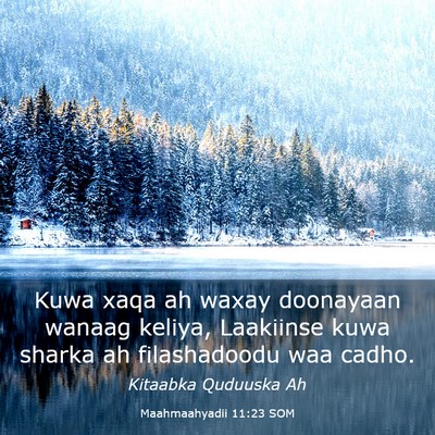 Picture 03 - Maahmaahyadii 11:23 SOM - Kuwa xaqa ah waxay doonayaan wanaag keliya, - Bible Verse Picture