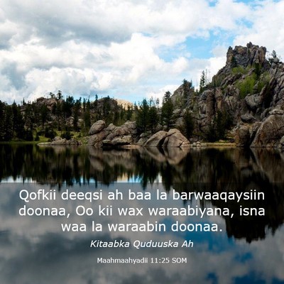 Picture 03 - Maahmaahyadii 11:25 SOM - Qofkii deeqsi ah baa la barwaaqaysiin doonaa, Oo - Bible Verse Picture