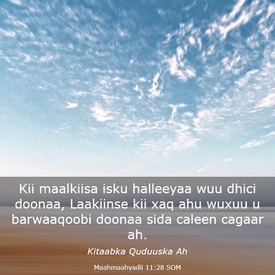 Picture 03 - Maahmaahyadii 11:28 SOM - Kii maalkiisa isku halleeyaa wuu dhici doonaa, - Bible Verse Picture