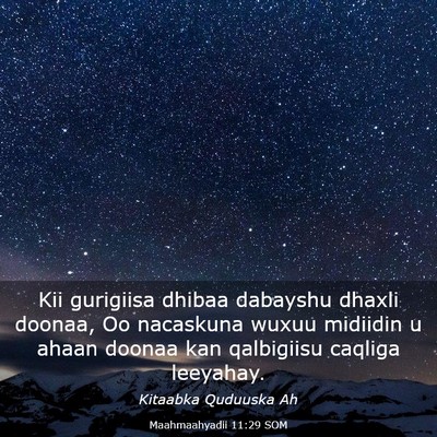 Picture 03 - Maahmaahyadii 11:29 SOM - Kii gurigiisa dhibaa dabayshu dhaxli doonaa, Oo - Bible Verse Picture