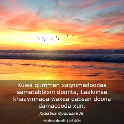 Picture 03 - Maahmaahyadii 11:6 SOM - Kuwa qumman xaqnimadoodaa samatabbixin doonta, - Bible Verse Picture