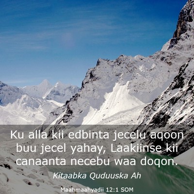 Picture 03 - Maahmaahyadii 12:1 SOM - Ku alla kii edbinta jecelu aqoon buu jecel yahay, - Bible Verse Picture