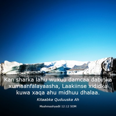 Picture 03 - Maahmaahyadii 12:12 SOM - Kan sharka lahu wuxuu damcaa dabinka - Bible Verse Picture