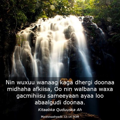 Picture 03 - Maahmaahyadii 12:14 SOM - Nin wuxuu wanaag kaga dhergi doonaa midhaha - Bible Verse Picture
