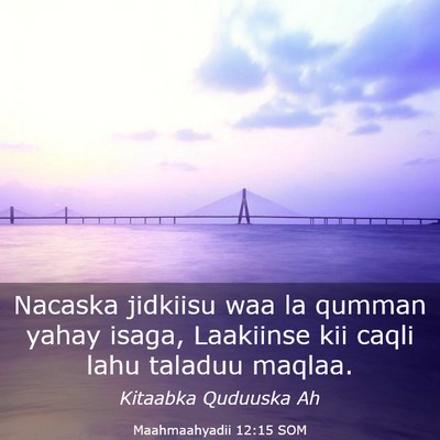 Picture 03 - Maahmaahyadii 12:15 SOM - Nacaska jidkiisu waa la qumman yahay isaga, - Bible Verse Picture