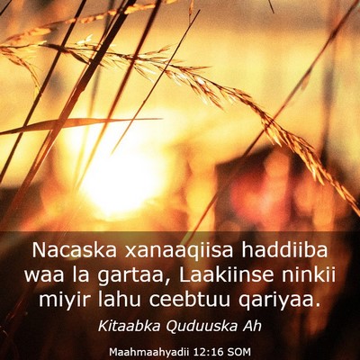 Picture 03 - Maahmaahyadii 12:16 SOM - Nacaska xanaaqiisa haddiiba waa la gartaa, - Bible Verse Picture