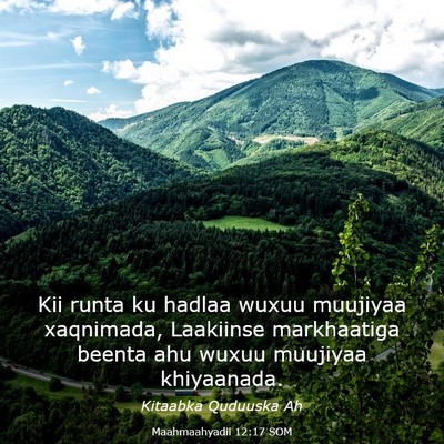 Picture 03 - Maahmaahyadii 12:17 SOM - Kii runta ku hadlaa wuxuu muujiyaa xaqnimada, - Bible Verse Picture