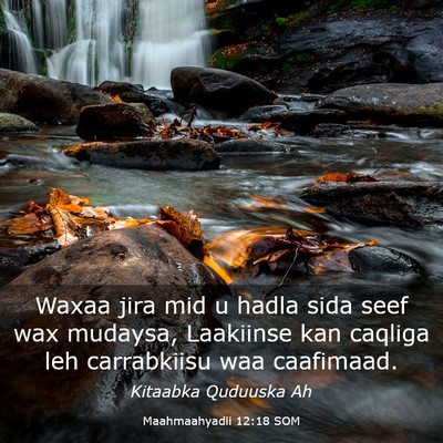 Picture 03 - Maahmaahyadii 12:18 SOM - Waxaa jira mid u hadla sida seef wax mudaysa, - Bible Verse Picture