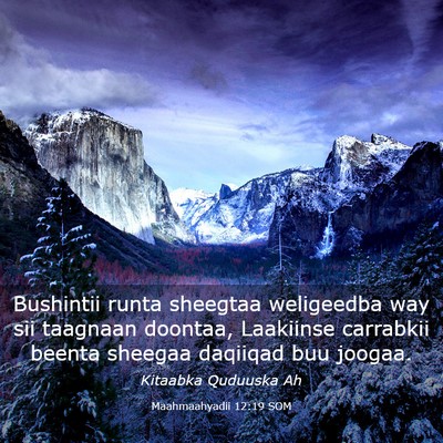 Picture 03 - Maahmaahyadii 12:19 SOM - Bushintii runta sheegtaa weligeedba way sii - Bible Verse Picture