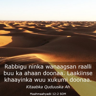 Picture 03 - Maahmaahyadii 12:2 SOM - Rabbigu ninka wanaagsan raalli buu ka ahaan - Bible Verse Picture