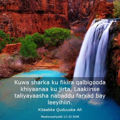 Picture 03 - Maahmaahyadii 12:20 SOM - Kuwa sharka ku fikira qalbigooda khiyaanaa ku - Bible Verse Picture