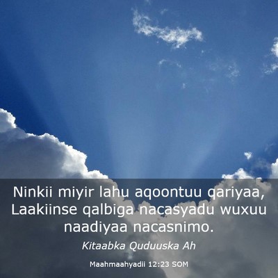 Picture 03 - Maahmaahyadii 12:23 SOM - Ninkii miyir lahu aqoontuu qariyaa, Laakiinse - Bible Verse Picture