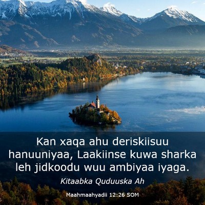 Picture 03 - Maahmaahyadii 12:26 SOM - Kan xaqa ahu deriskiisuu hanuuniyaa, Laakiinse - Bible Verse Picture
