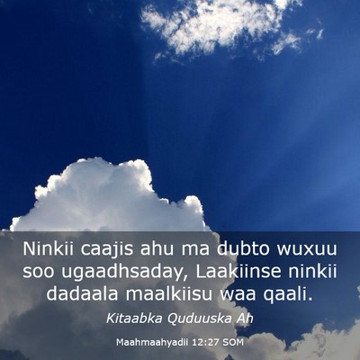 Picture 03 - Maahmaahyadii 12:27 SOM - Ninkii caajis ahu ma dubto wuxuu soo ugaadhsaday, - Bible Verse Picture