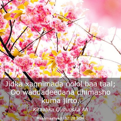 Picture 03 - Maahmaahyadii 12:28 SOM - Jidka xaqnimada nolol baa taal; Oo waddadeedana - Bible Verse Picture