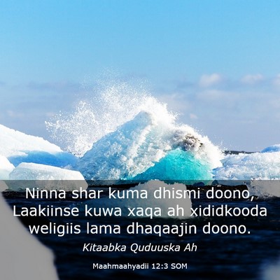 Picture 03 - Maahmaahyadii 12:3 SOM - Ninna shar kuma dhismi doono, Laakiinse kuwa xaqa - Bible Verse Picture