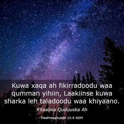 Picture 03 - Maahmaahyadii 12:5 SOM - Kuwa xaqa ah fikirradoodu waa qumman yihiin, - Bible Verse Picture