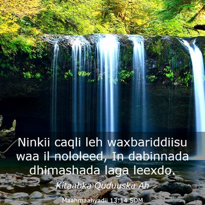 Picture 03 - Maahmaahyadii 13:14 SOM - Ninkii caqli leh waxbariddiisu waa il nololeed, - Bible Verse Picture