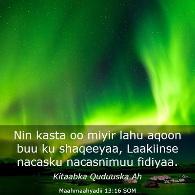 Picture 03 - Maahmaahyadii 13:16 SOM - Nin kasta oo miyir lahu aqoon buu ku shaqeeyaa, - Bible Verse Picture