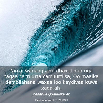Picture 03 - Maahmaahyadii 13:22 SOM - Ninkii wanaagsanu dhaxal buu uga tagaa carruurta - Bible Verse Picture