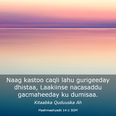 Picture 03 - Maahmaahyadii 14:1 SOM - Naag kastoo caqli lahu gurigeeday dhistaa, - Bible Verse Picture
