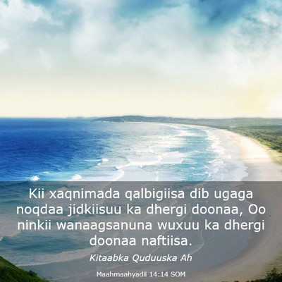 Picture 03 - Maahmaahyadii 14:14 SOM - Kii xaqnimada qalbigiisa dib ugaga noqdaa - Bible Verse Picture
