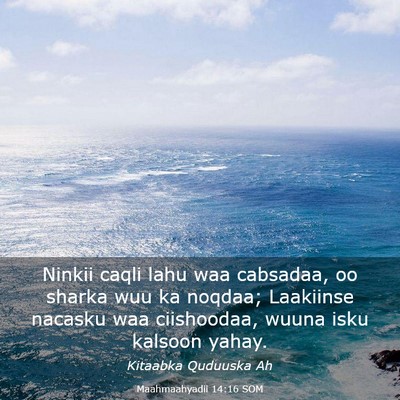 Picture 03 - Maahmaahyadii 14:16 SOM - Ninkii caqli lahu waa cabsadaa, oo sharka wuu ka - Bible Verse Picture