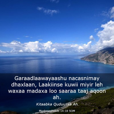 Picture 03 - Maahmaahyadii 14:18 SOM - Garaadlaawayaashu nacasnimay dhaxlaan, Laakiinse - Bible Verse Picture