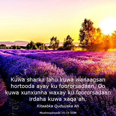Picture 03 - Maahmaahyadii 14:19 SOM - Kuwa sharka lahu kuwa wanaagsan hortooda ayay ku - Bible Verse Picture