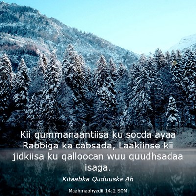 Picture 03 - Maahmaahyadii 14:2 SOM - Kii qummanaantiisa ku socda ayaa Rabbiga ka - Bible Verse Picture