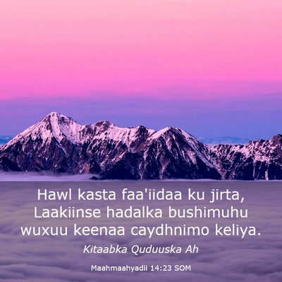 Picture 03 - Maahmaahyadii 14:23 SOM - Hawl kasta faa'iidaa ku jirta, Laakiinse hadalka - Bible Verse Picture