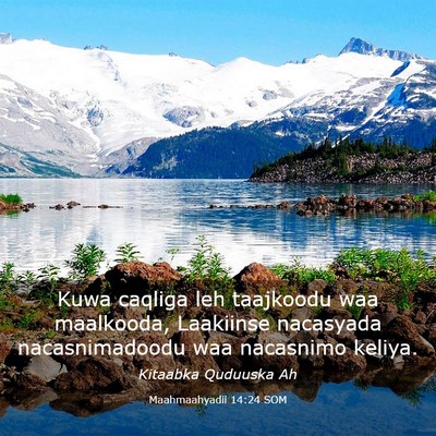 Picture 03 - Maahmaahyadii 14:24 SOM - Kuwa caqliga leh taajkoodu waa maalkooda, - Bible Verse Picture