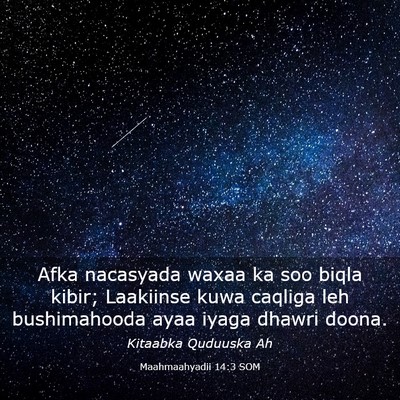 Picture 03 - Maahmaahyadii 14:3 SOM - Afka nacasyada waxaa ka soo biqla kibir; - Bible Verse Picture