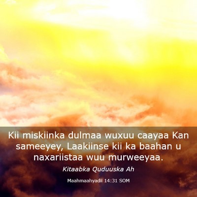 Picture 03 - Maahmaahyadii 14:31 SOM - Kii miskiinka dulmaa wuxuu caayaa Kan sameeyey, - Bible Verse Picture